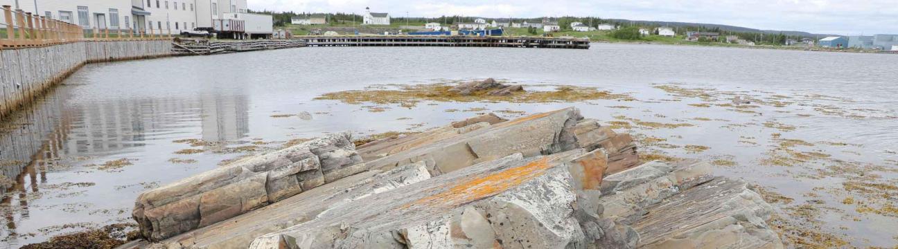 Port Union Fossil Site