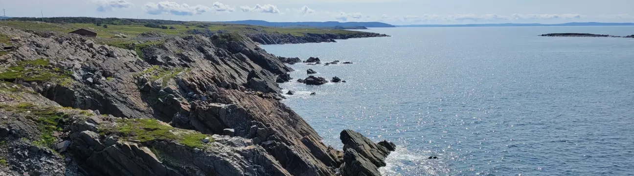 Cape Shore Trail