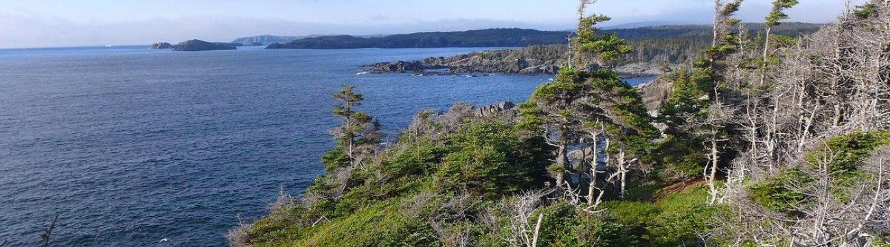 Murphy's Cove-Lodge's Pond Trail