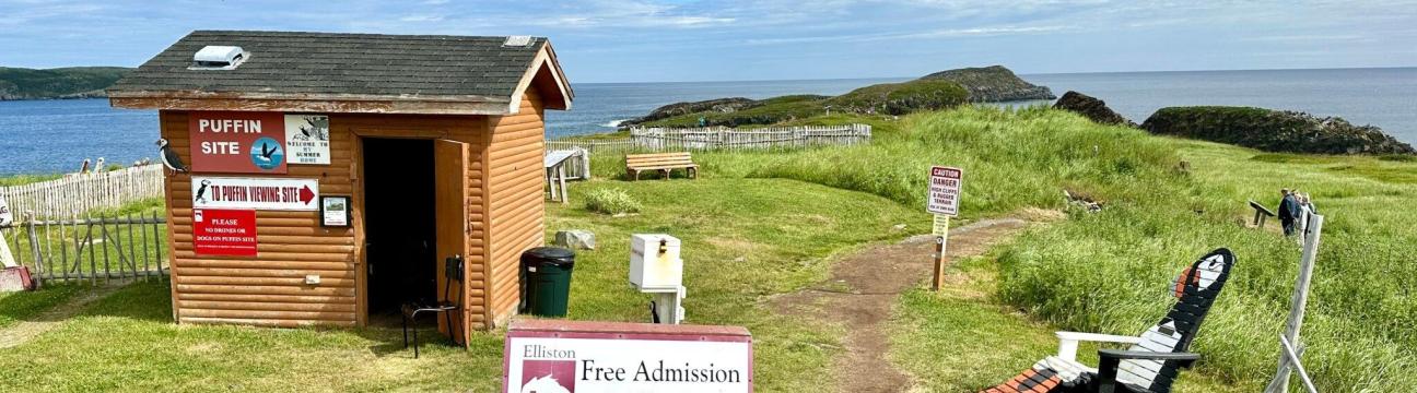 Elliston Puffin Viewing Site