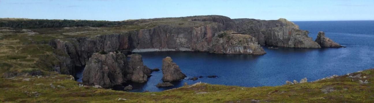 Bonavista (town)